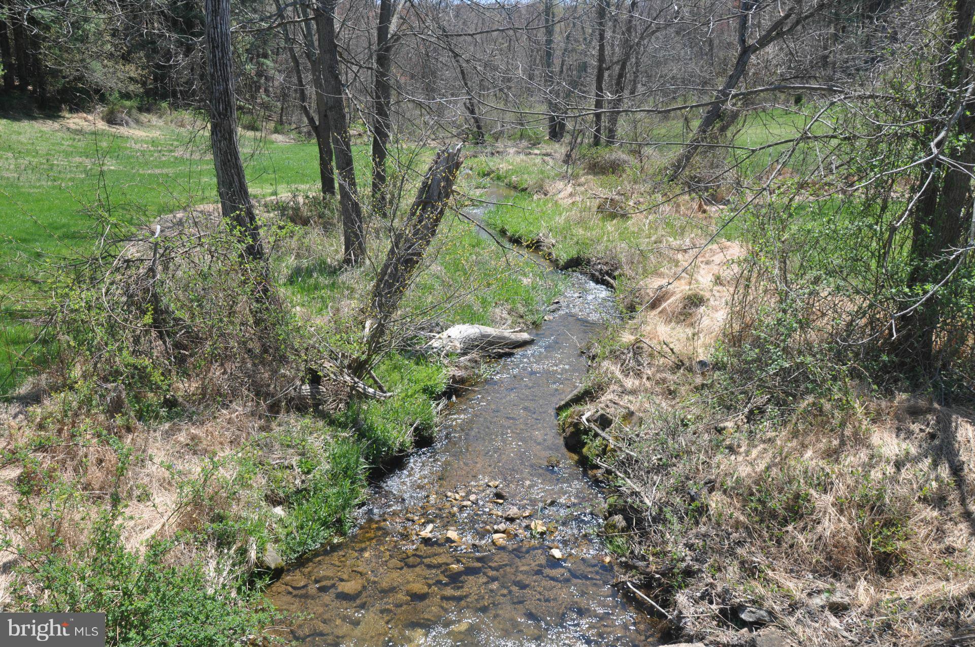 5215 Long Corner Road White Hall, MD 21161 - Photo 28 of 30 Stream