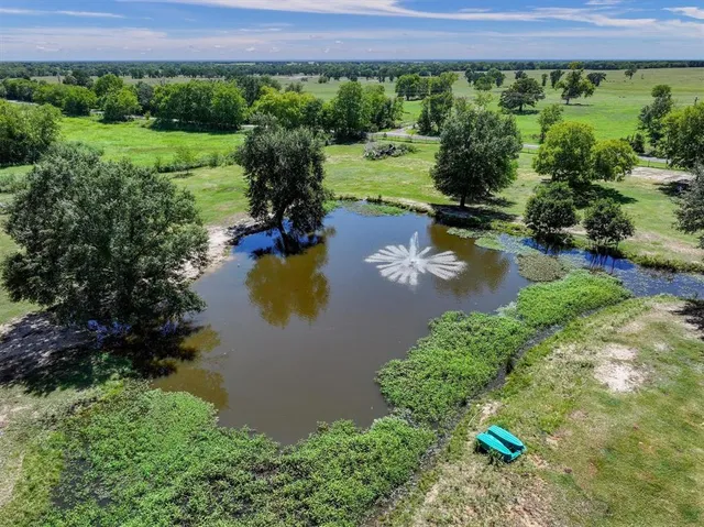 a view of a garden with a lake
