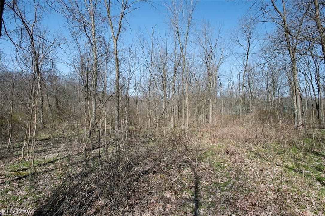 Vl Drake Road Strongsville, OH 44149 - Photo 14 of 18