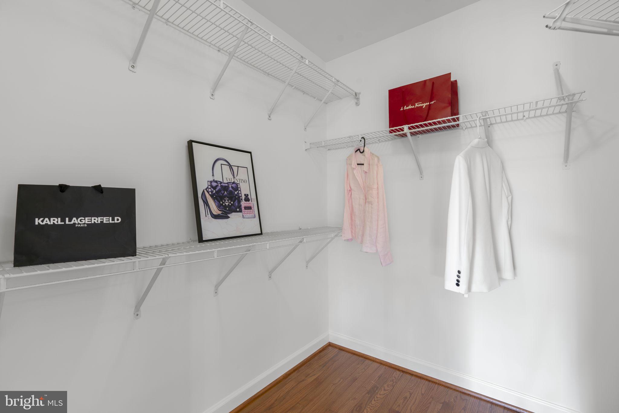 12020 Open Run Road Ellicott City, MD 21042 - Photo 42 of 102 Primary Closet