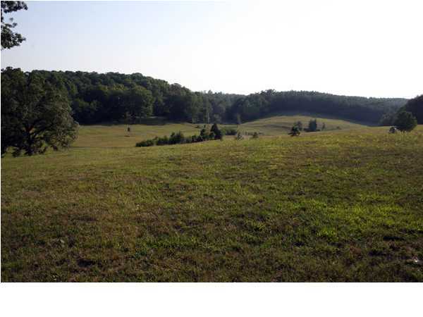 4 Ayers Road Chickamauga, GA 30707 - Photo 1 of 1 Primary Photo