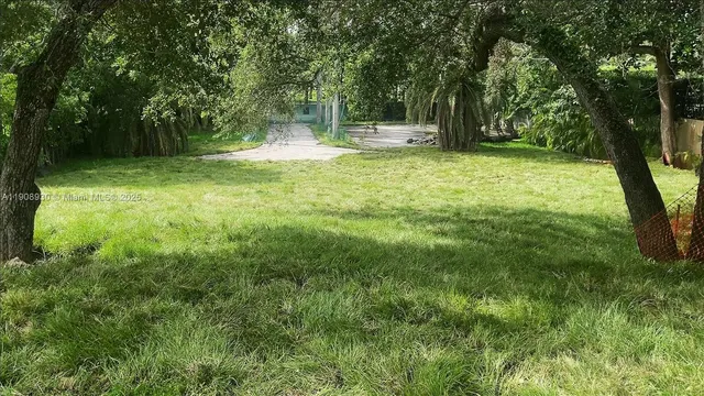 a view of a trees in a yard