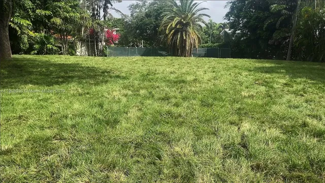 a view of three trees and a yard