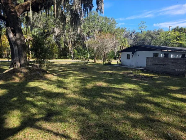 a view of a tree in the middle of a yard