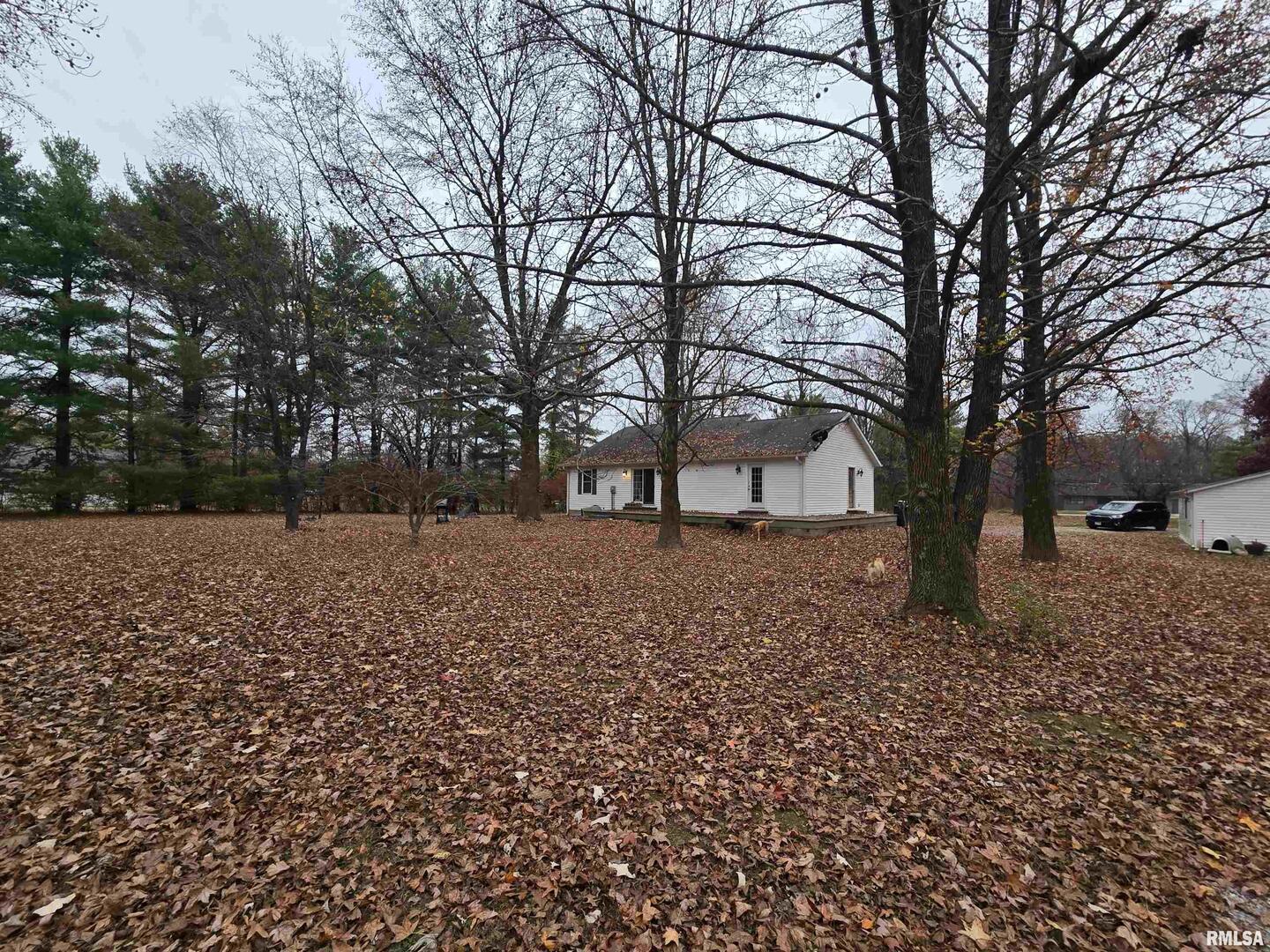 11882 Goshen Meadows Mount Vernon, IL 62864 - Photo 11 of 52 a view of house with a yard
