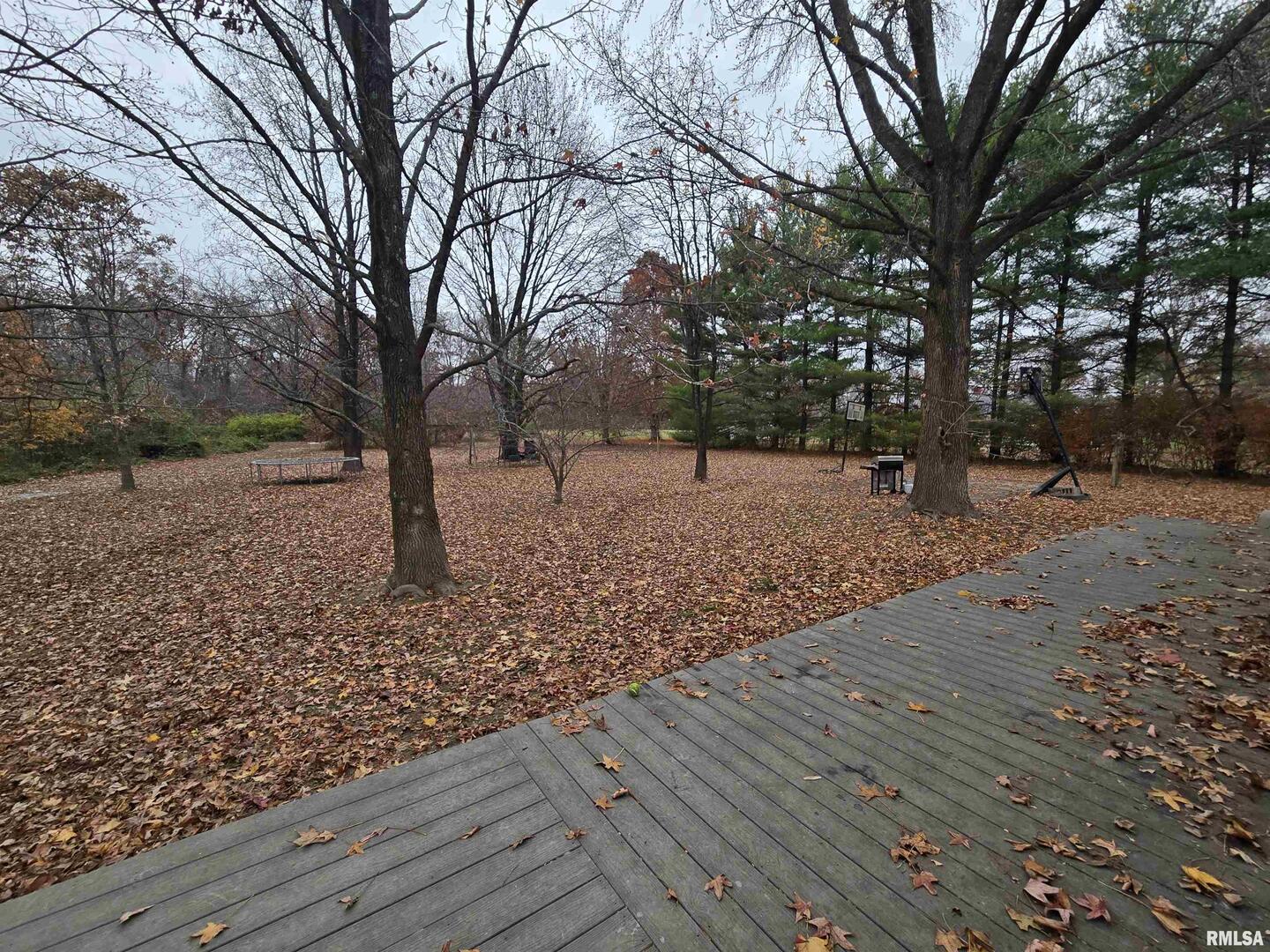 11882 Goshen Meadows Mount Vernon, IL 62864 - Photo 5 of 52 a backyard of a house with lots of green space