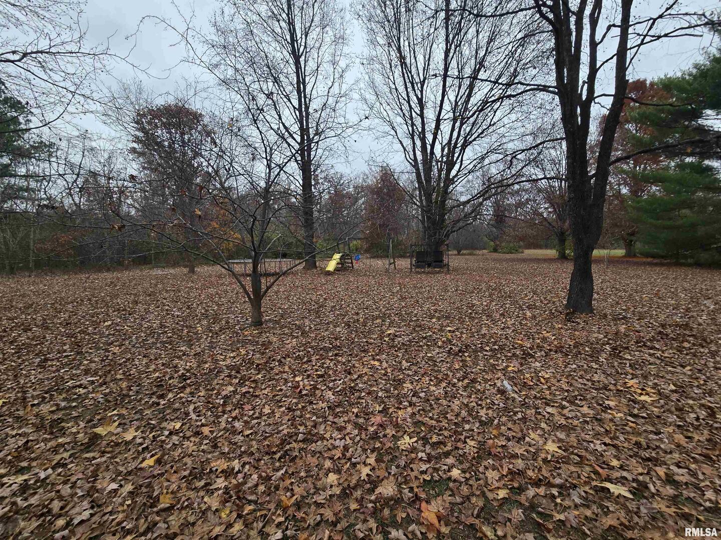 11882 Goshen Meadows Mount Vernon, IL 62864 - Photo 7 of 52 a backyard of a house with lots of green space