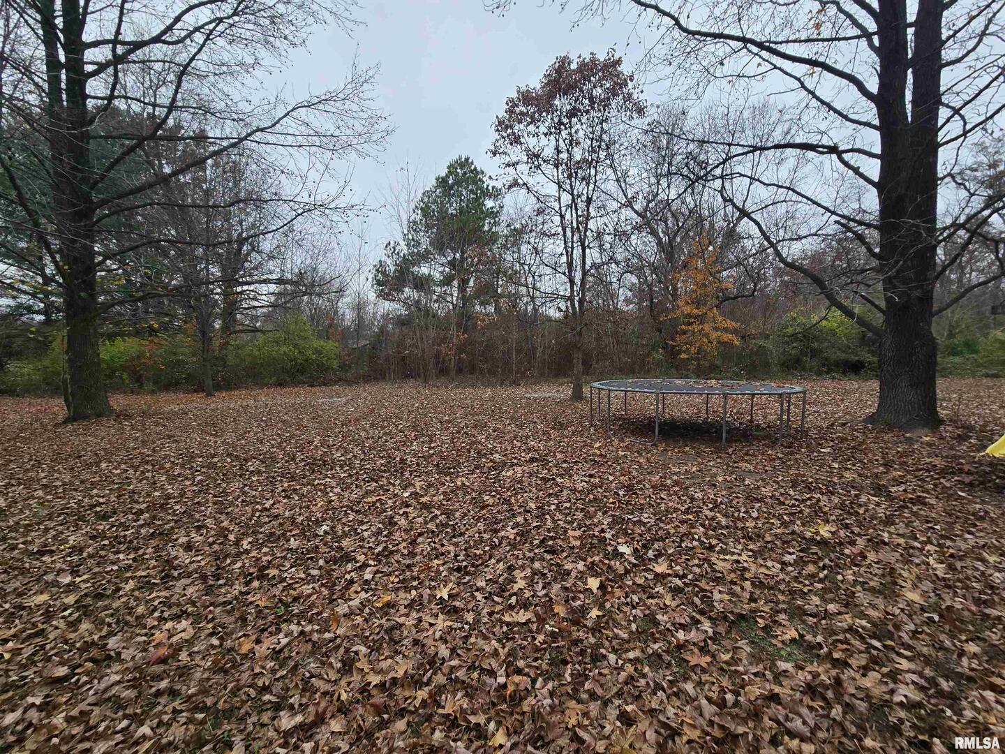 11882 Goshen Meadows Mount Vernon, IL 62864 - Photo 8 of 52 a backyard of a house with lots of green space