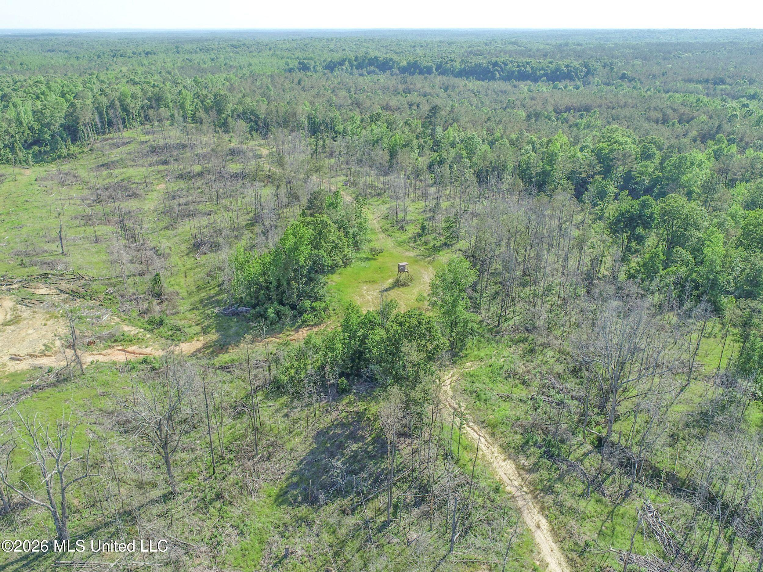 Wayne Massie Road Como, MS 38619 - Photo 32 of 184 3ctwmrd16