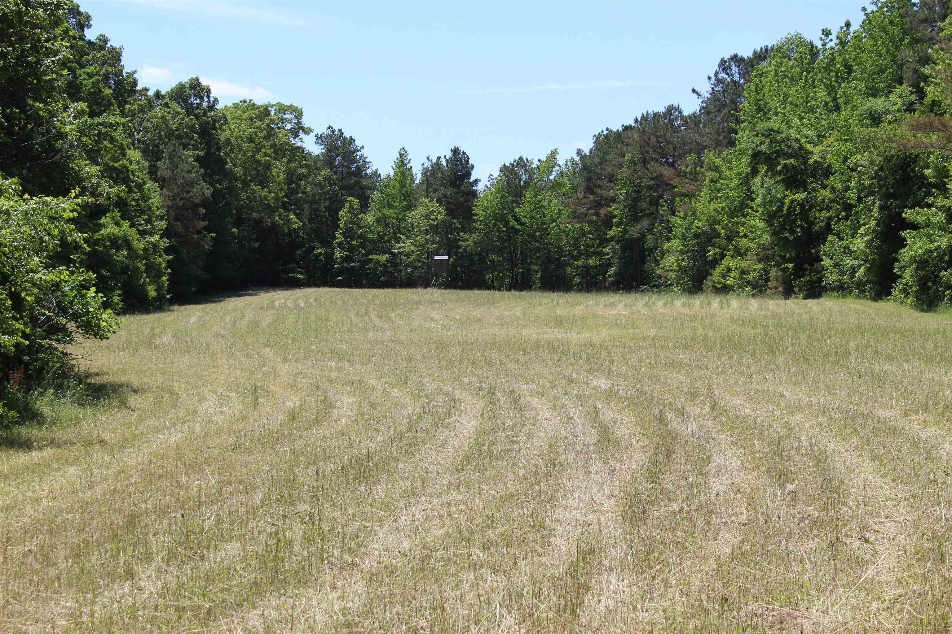 0 Silerton Road Toone, TN 38381 - Photo 2 of 24
