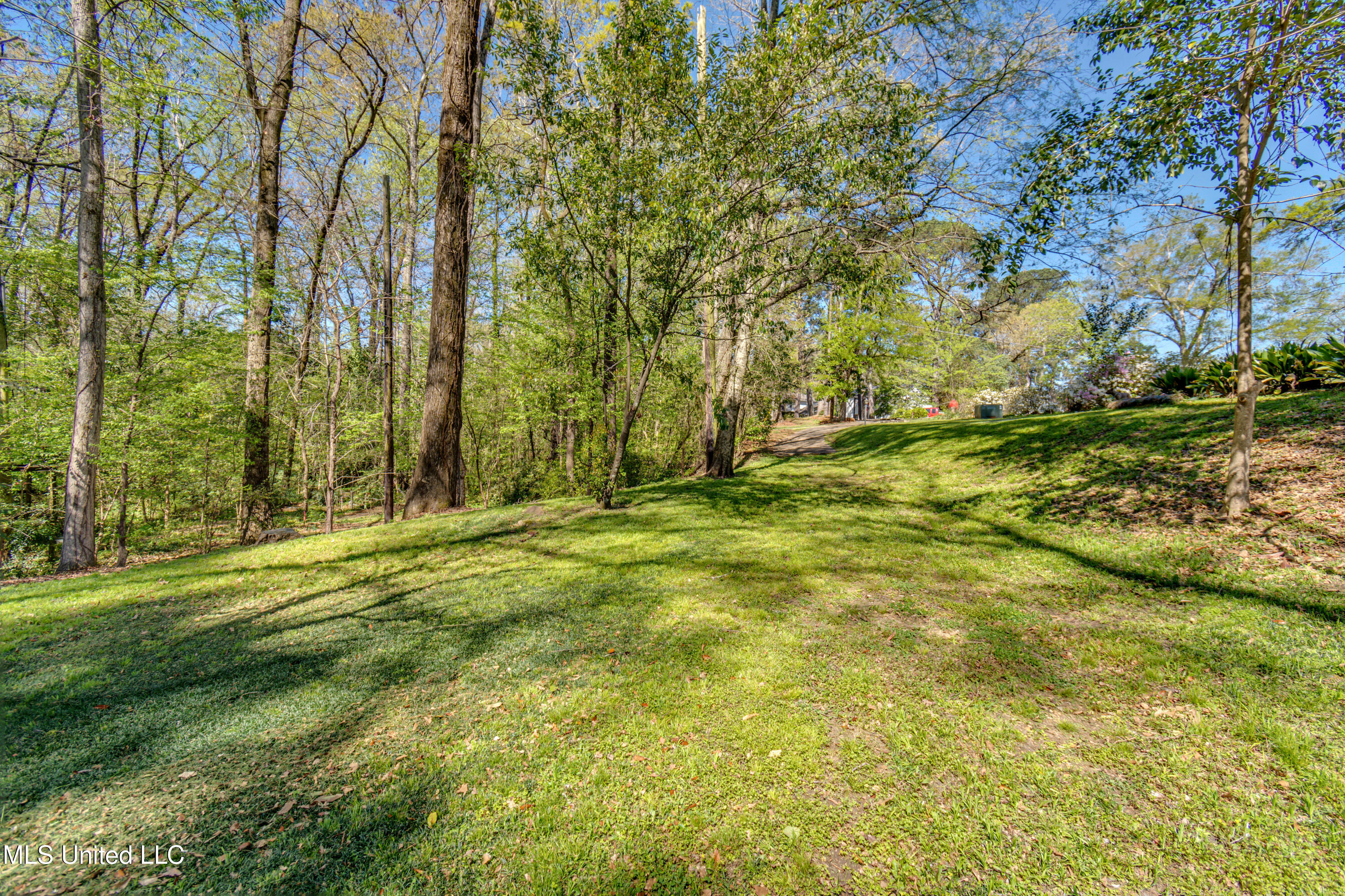 200 Ridge Drive Jackson, MS 39216 - Photo 4 of 11 4