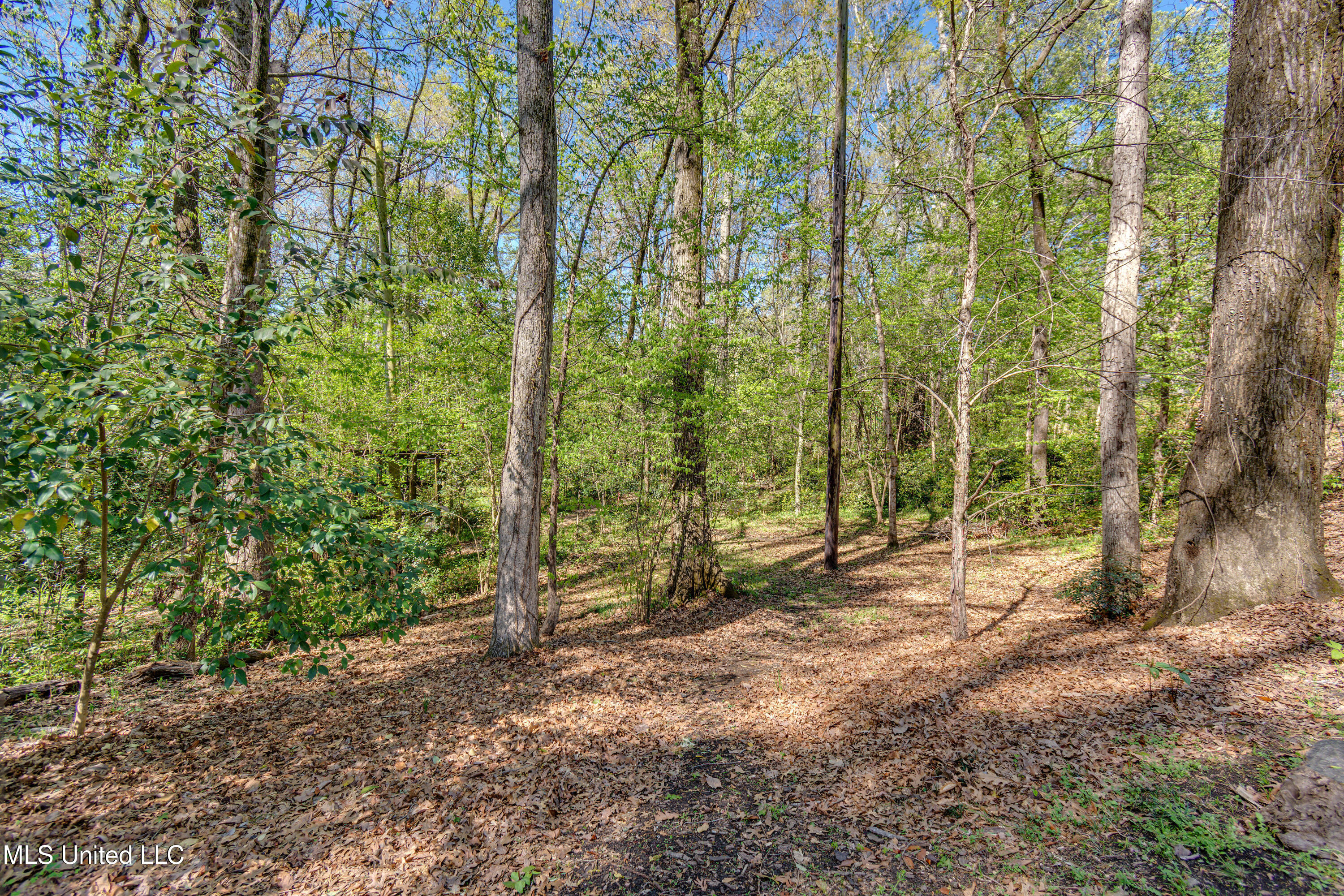 200 Ridge Drive Jackson, MS 39216 - Photo 6 of 11 6