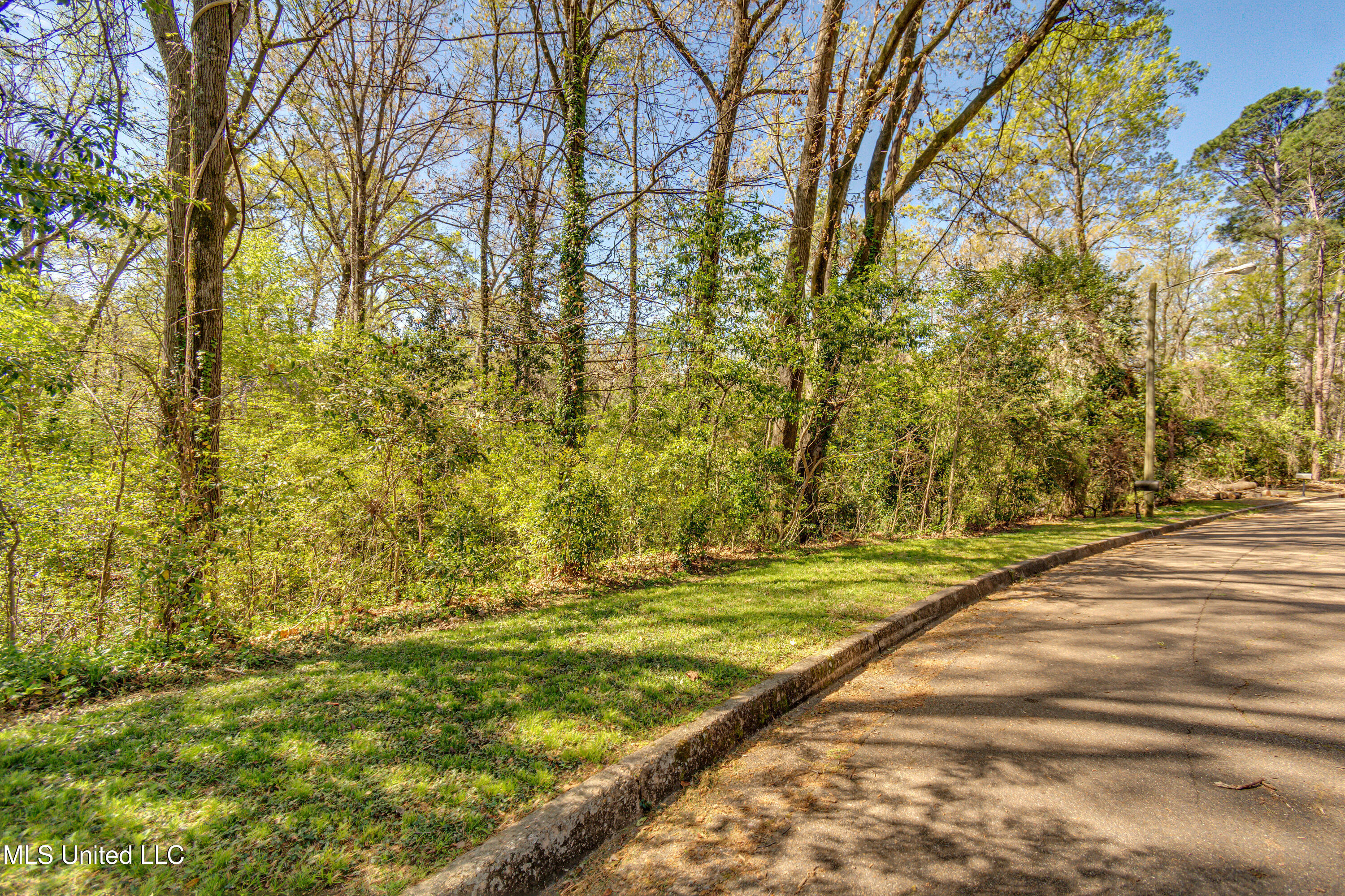 200 Ridge Drive Jackson, MS 39216 - Photo 7 of 11 7
