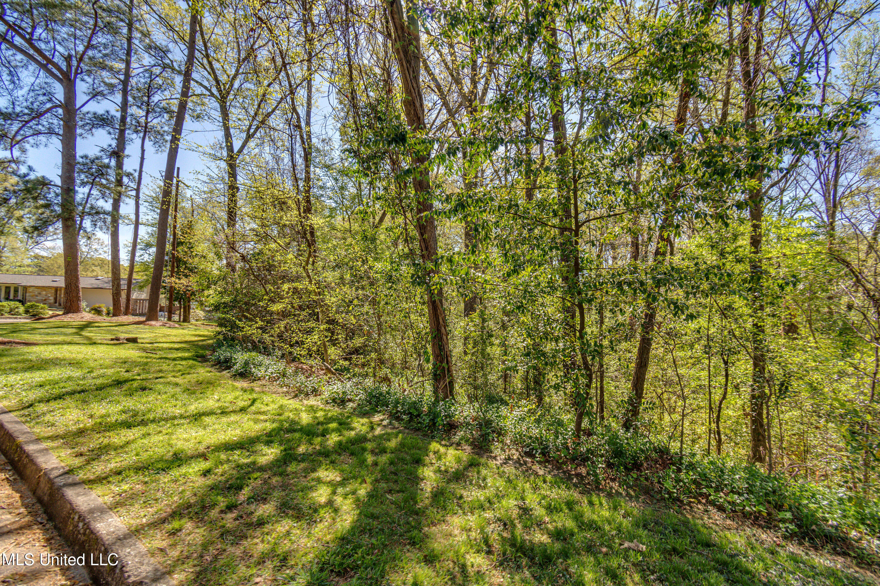 200 Ridge Drive Jackson, MS 39216 - Photo 8 of 11 8