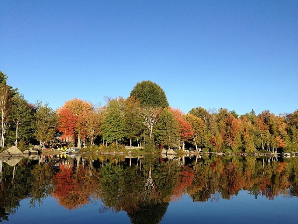 571 Phinney Farm Road Lincoln, ME 04457 - Photo 28 of 30 A beautiful fall day along the shore...