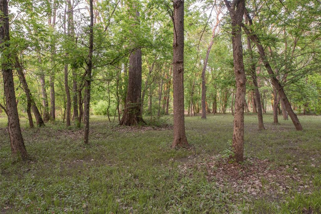 1451 Meandro Ria Lane Fairview, TX 75069 - Photo 33 of 38 a view of a forest that has large trees
