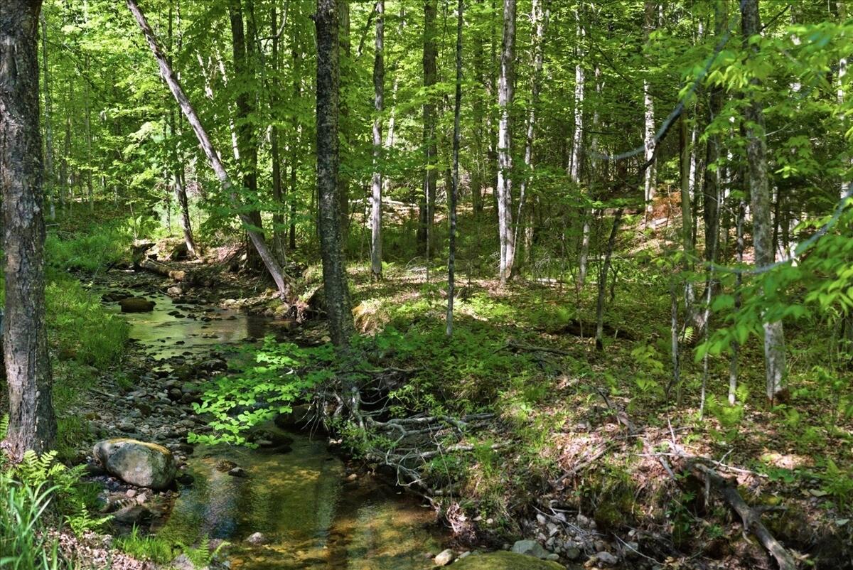 263 Number Six Road Oxford, ME 04270 - Photo 32 of 72 032-1_Landscape 14