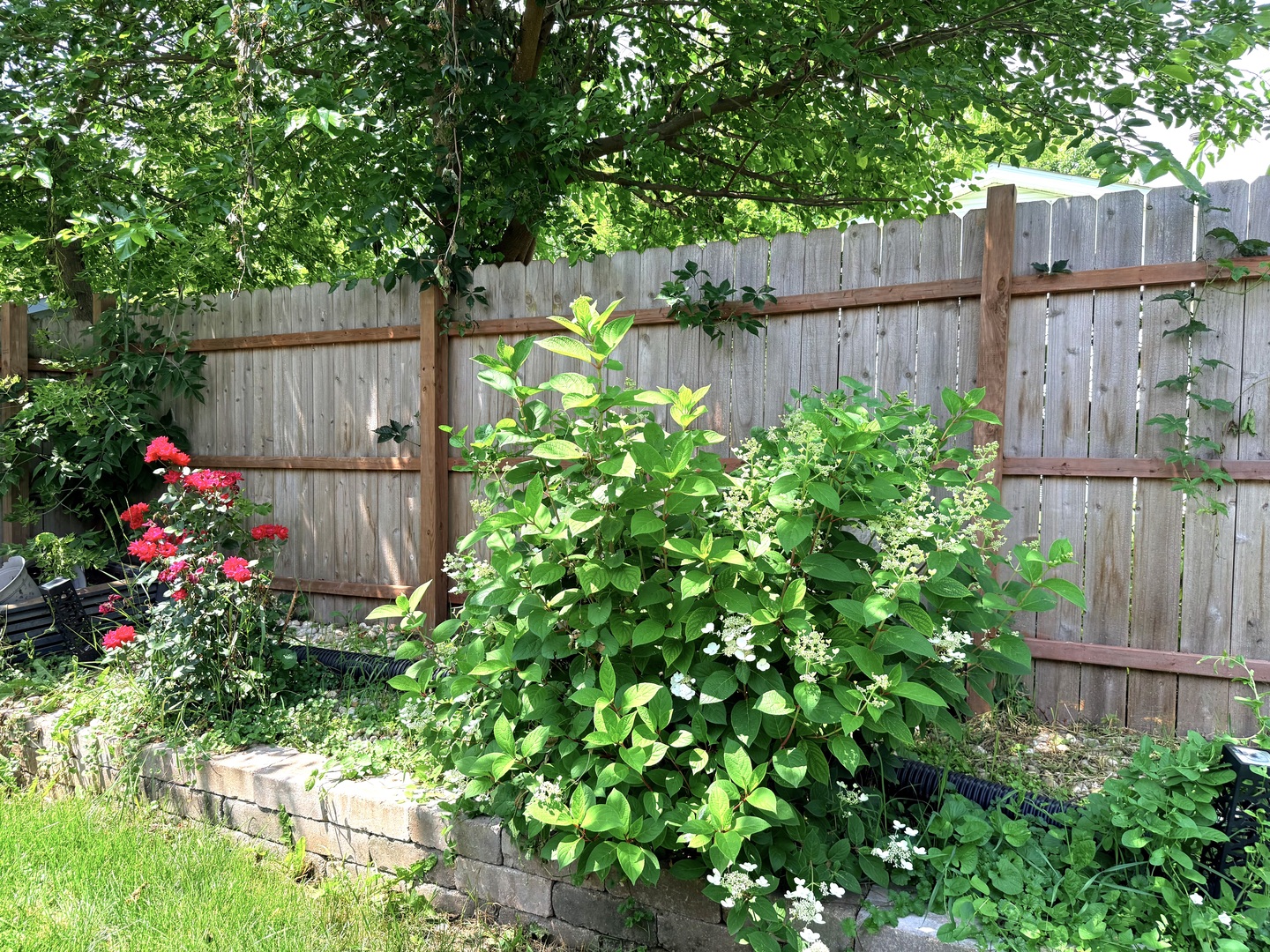 550 South Walnut Street Mundelein, IL 60060 - Photo 22 of 22