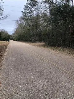 $39,000 | Lot 1 Chenel Street, Folsom, LA 70437
