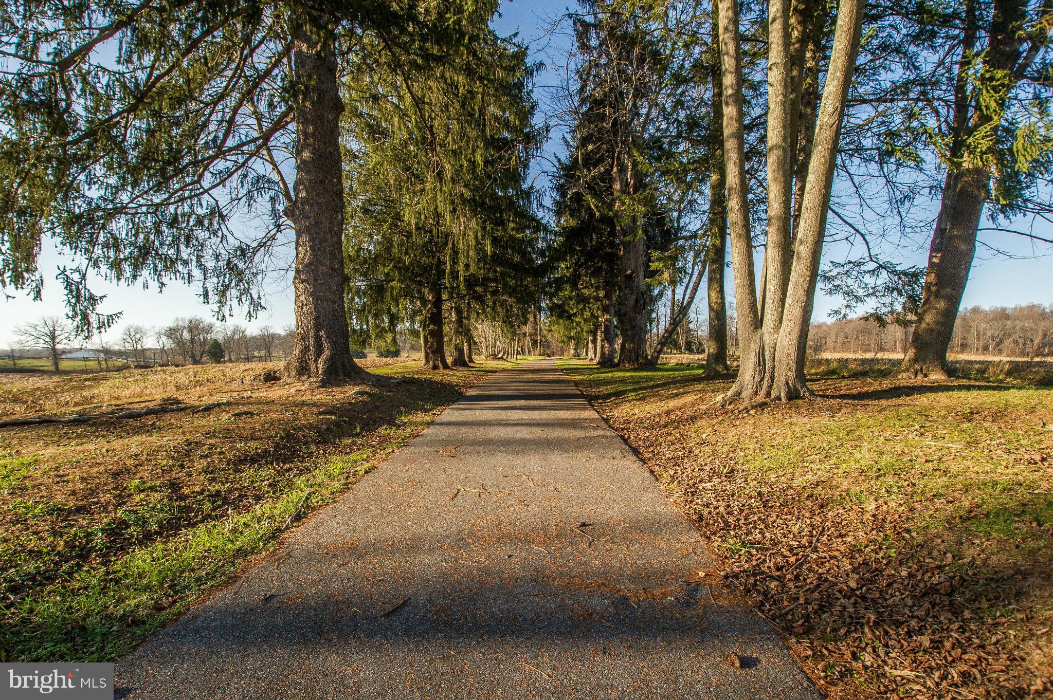 16300 Cedar Grove Road Sparks Glencoe, MD 21152 - Photo 22 of 28 a view of yard with tree
