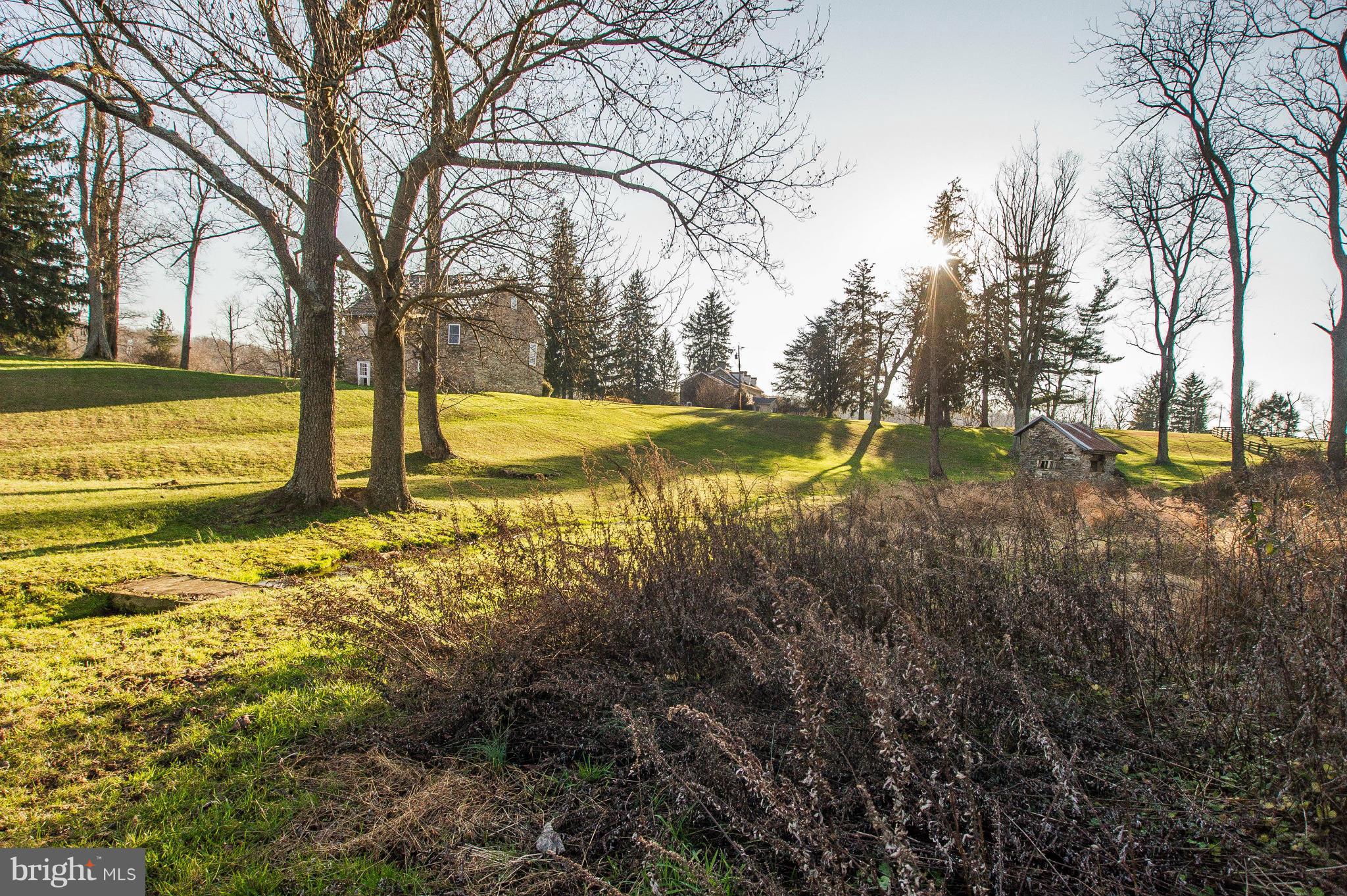 16300 Cedar Grove Road Sparks Glencoe, MD 21152 - Photo 24 of 28 a view of yard with trees