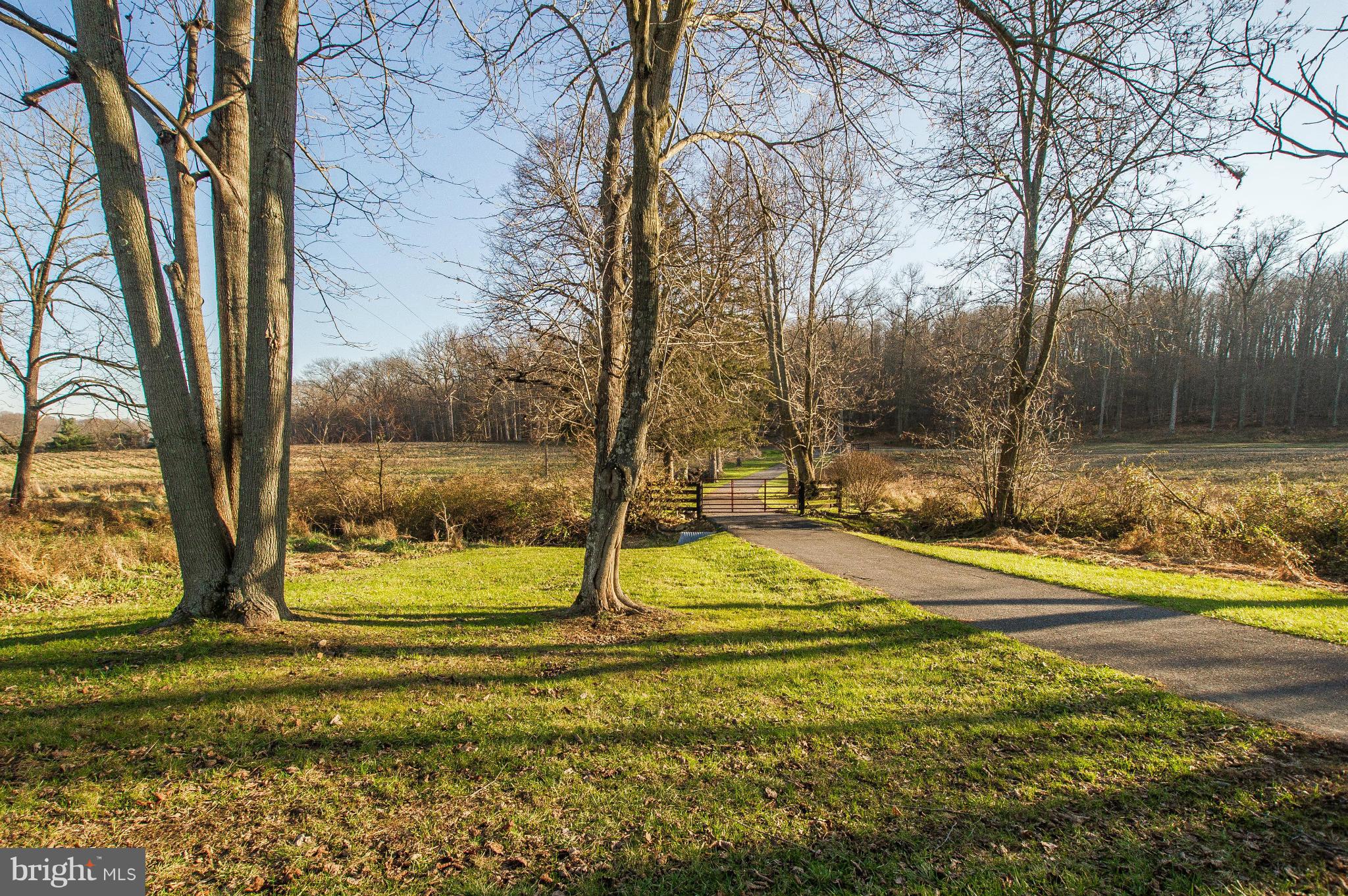 16300 Cedar Grove Road Sparks Glencoe, MD 21152 - Photo 8 of 28 a view of yard with tree