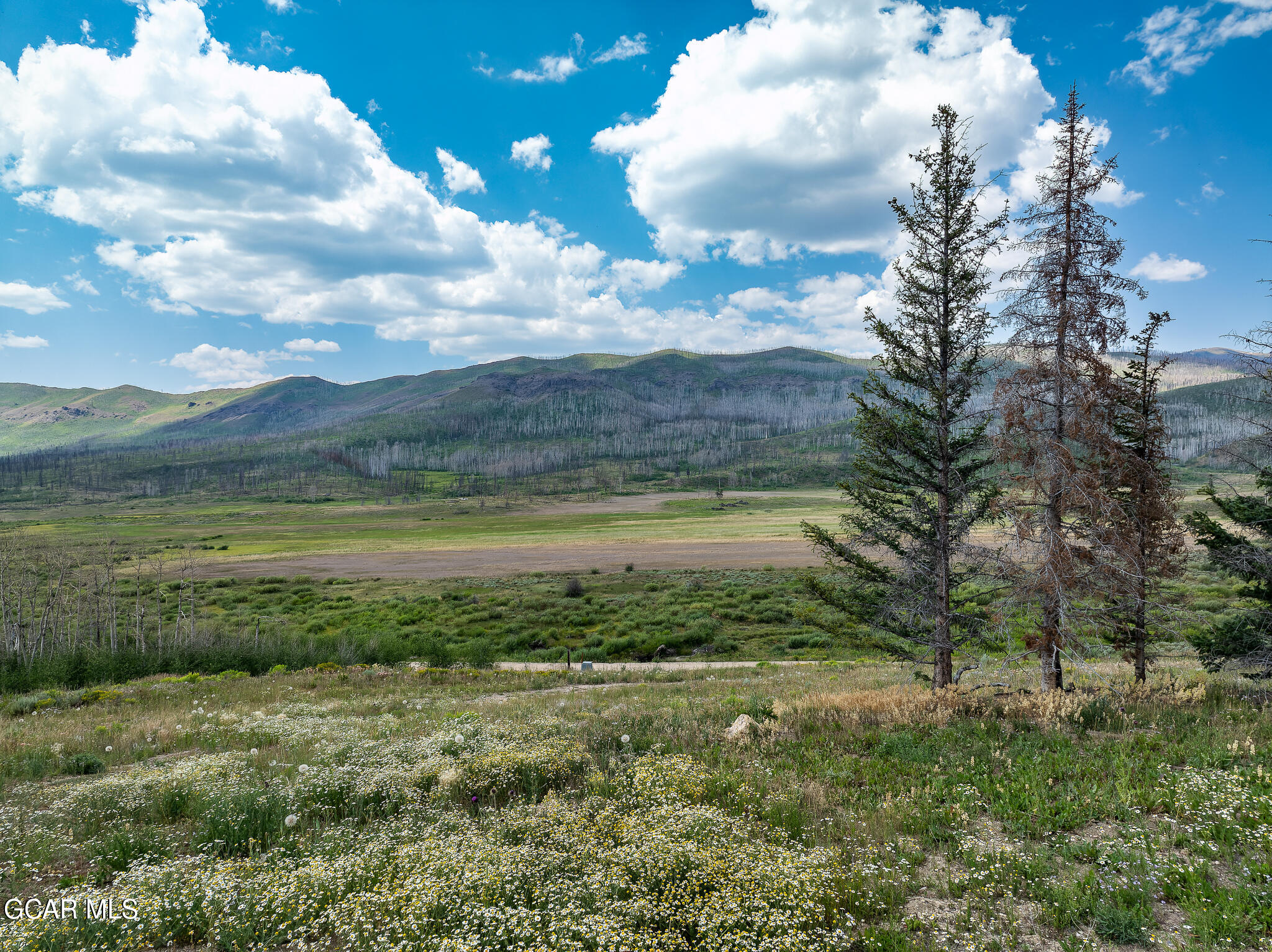 5294 Gcr 41 Granby, CO 80446 - Photo 7 of 7 a view of a garden with an outdoor space