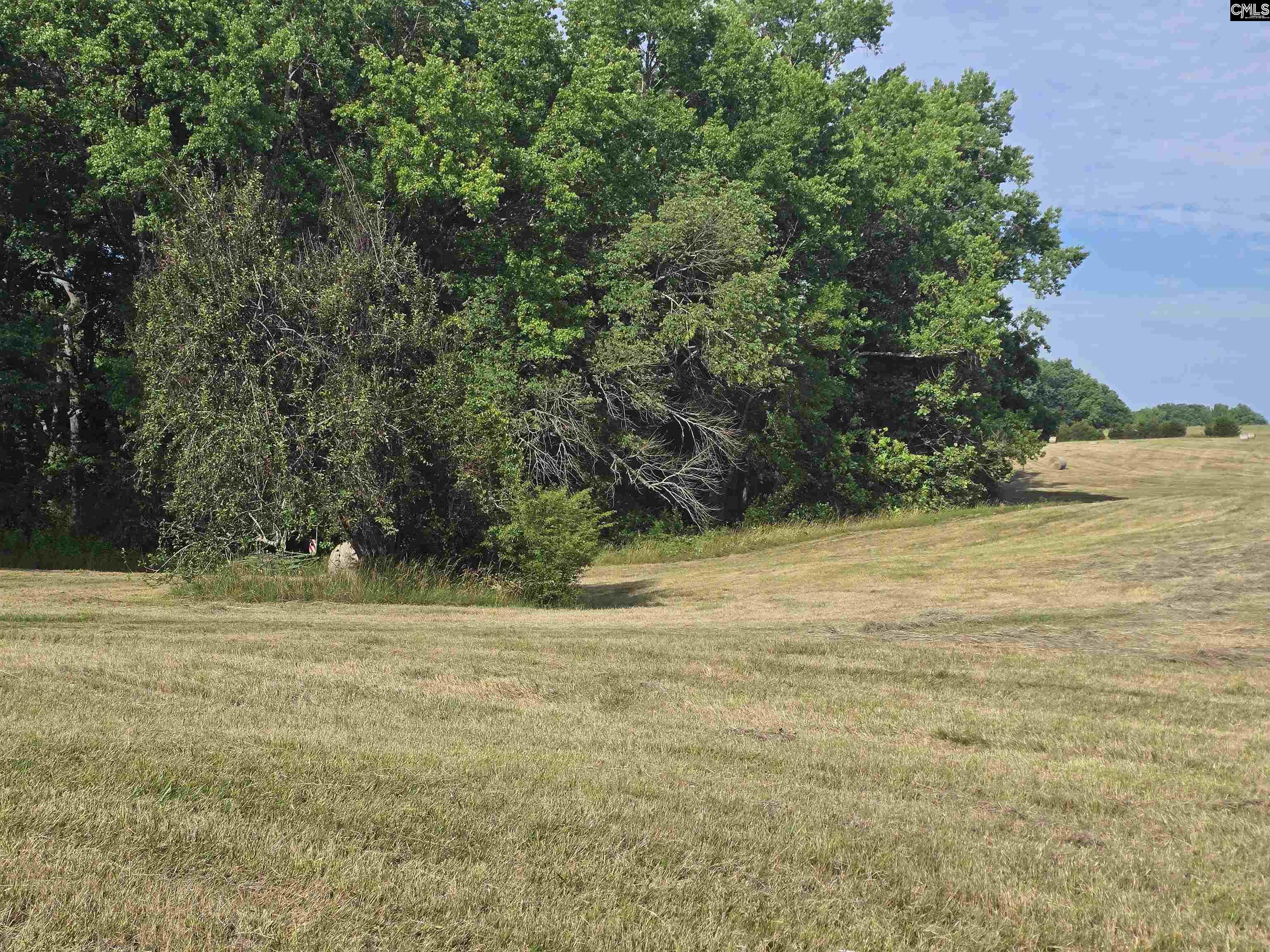 542 Pea Ridge Highway Jonesville, SC 29353 - Photo 63 of 72