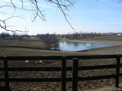 1384 Jackstown Road Paris, KY 40361 - Photo 13 of 15 Scenic spring fed lake located along far