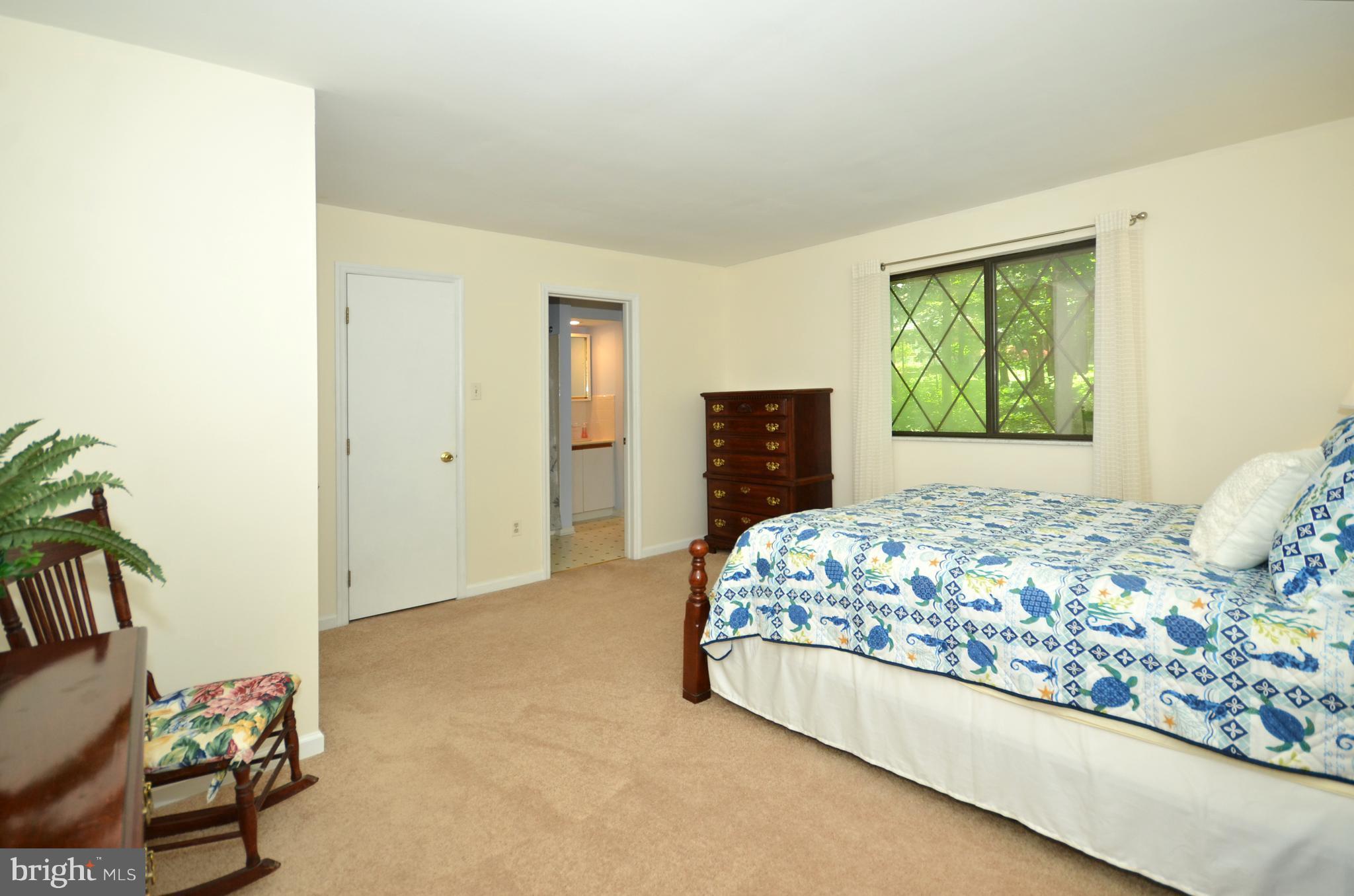 903 Monkton Road Monkton, MD 21111 - Photo 13 of 29 Master bedroom w/ new carpet