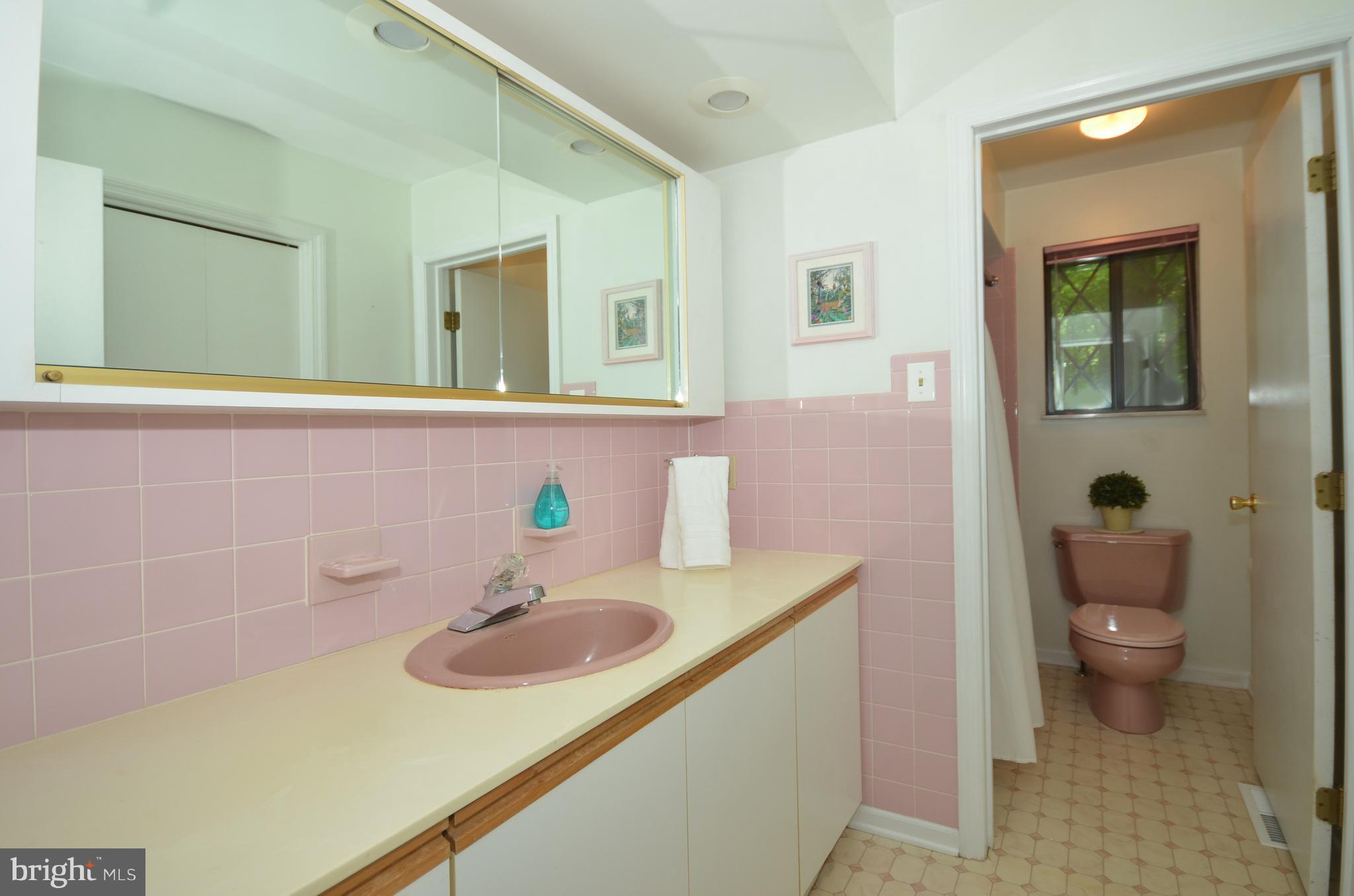 903 Monkton Road Monkton, MD 21111 - Photo 18 of 29 Hall bath w/ separate toilet and shower/tub combo