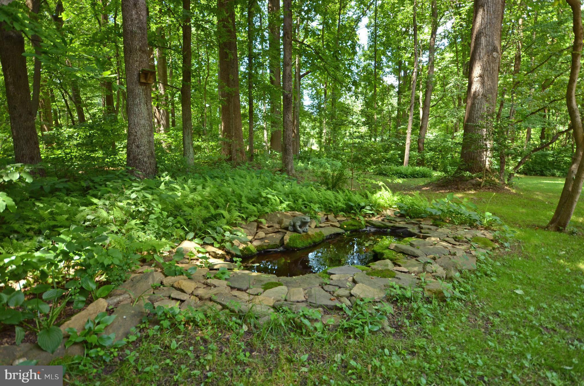 903 Monkton Road Monkton, MD 21111 - Photo 24 of 29 Frog & tadpole pond in rear!