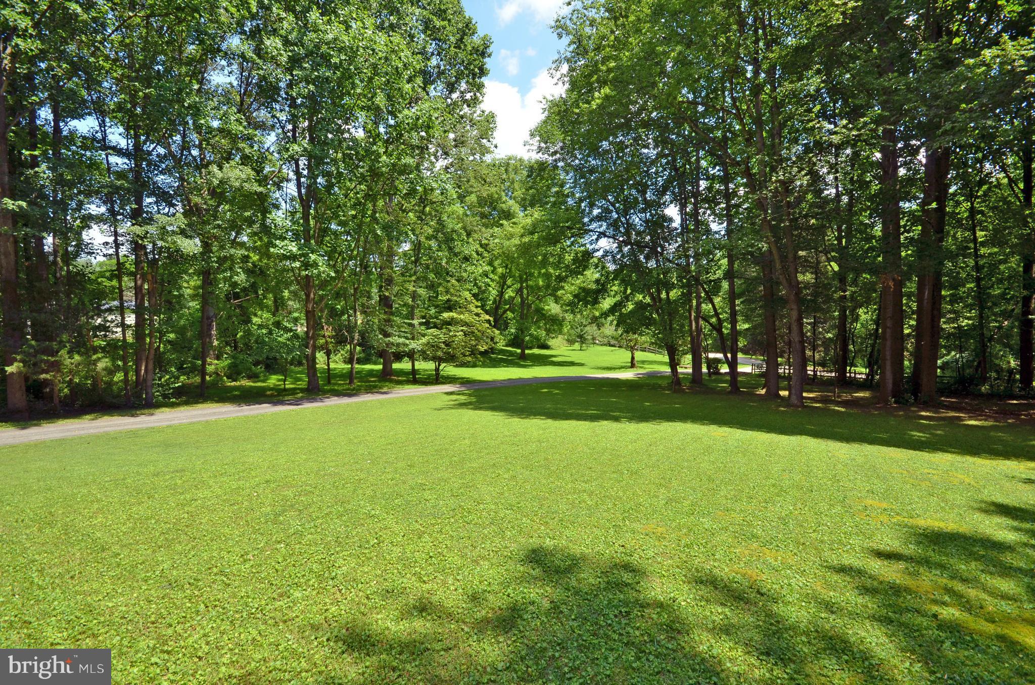 903 Monkton Road Monkton, MD 21111 - Photo 4 of 29 Looking out at beautiful front yard from house