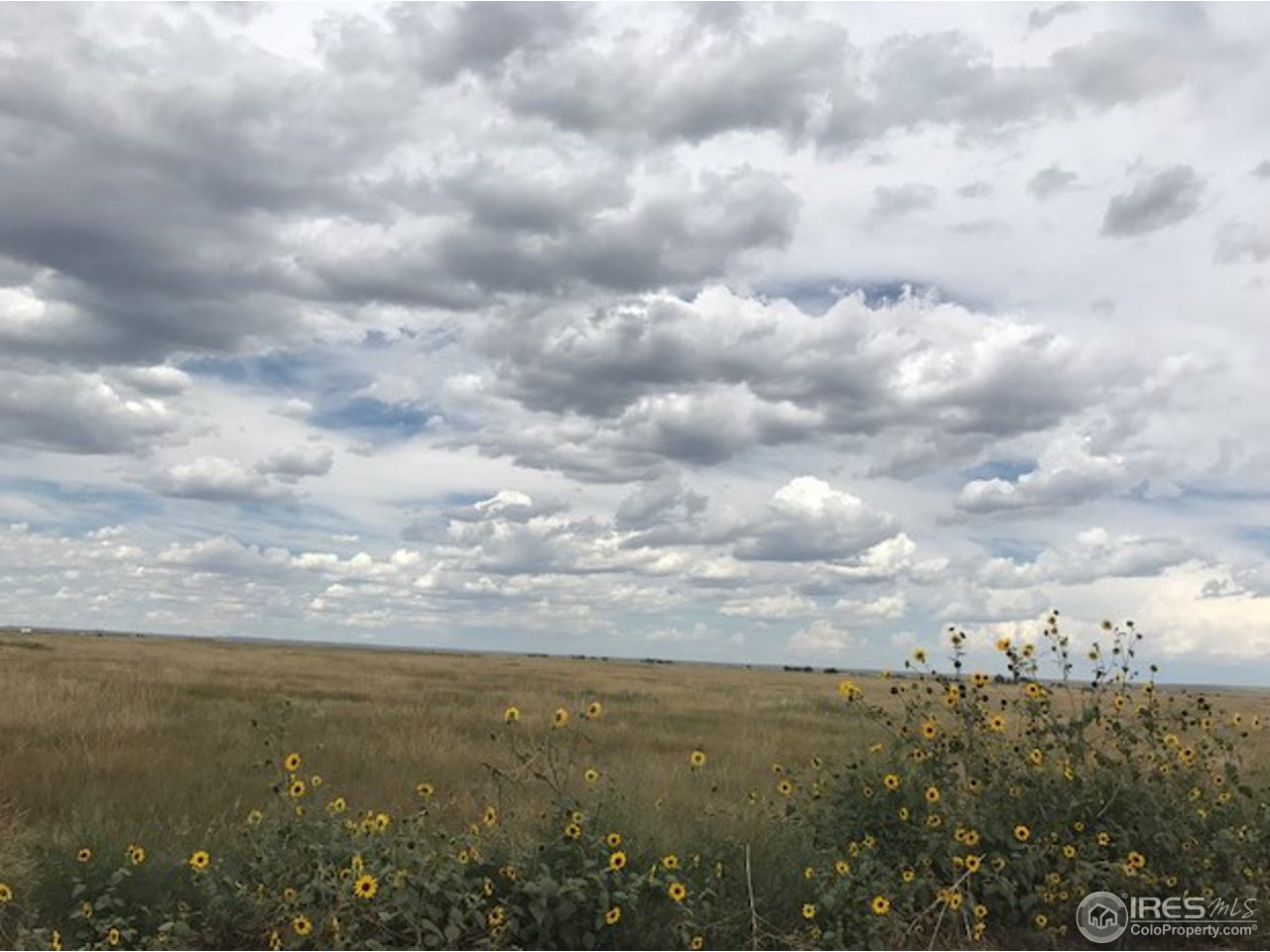 96 County Road Pierce, CO 80650 - Photo 1 of 14 Facing North