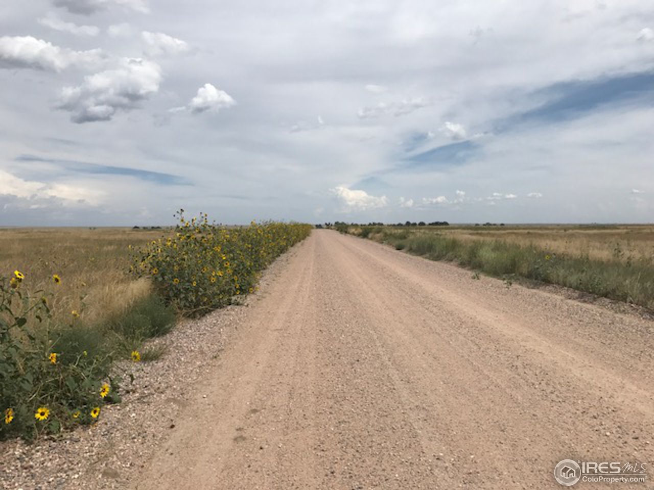 96 County Road Pierce, CO 80650 - Photo 11 of 14 Facing east