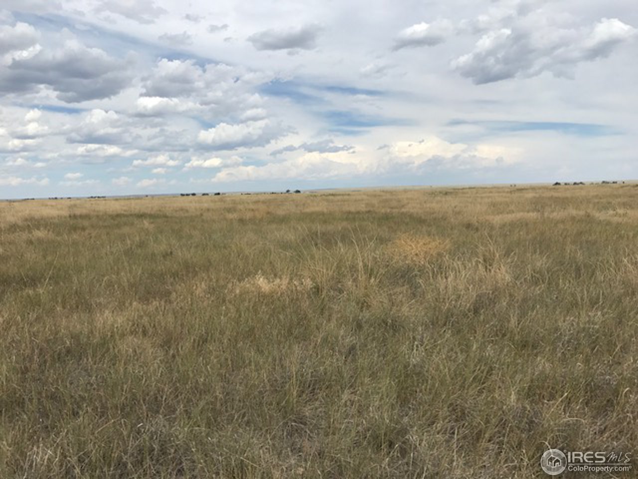 96 County Road Pierce, CO 80650 - Photo 12 of 14 Gallery Image 12