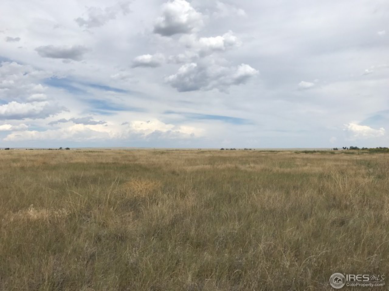 96 County Road Pierce, CO 80650 - Photo 13 of 14 Gallery Image 13