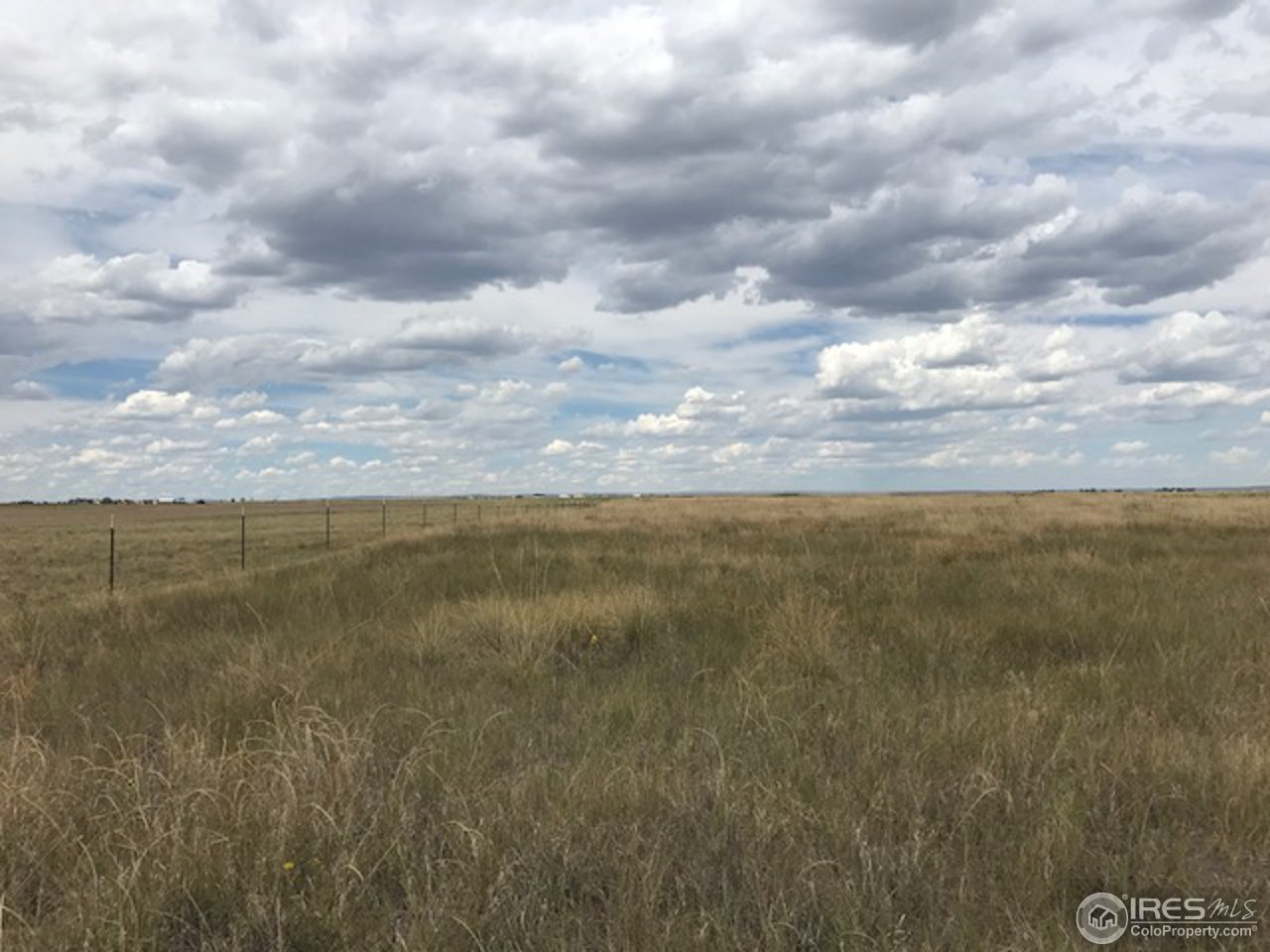 96 County Road Pierce, CO 80650 - Photo 3 of 14 Looking NW