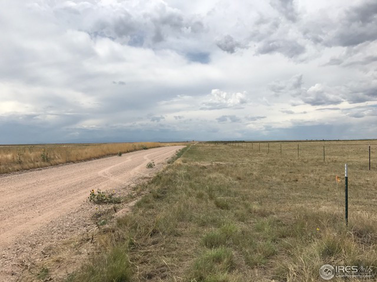 96 County Road Pierce, CO 80650 - Photo 4 of 14 Looking west