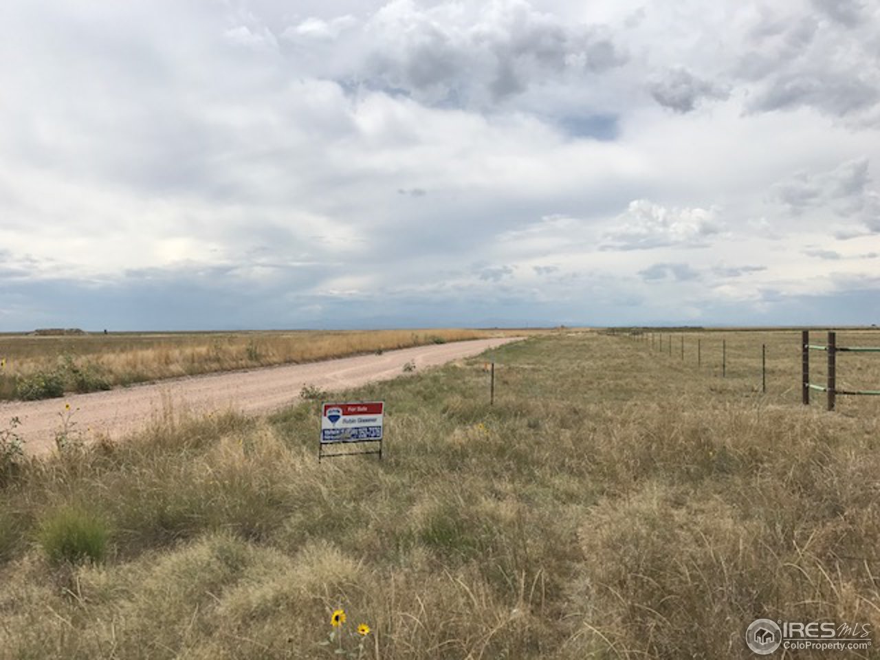 96 County Road Pierce, CO 80650 - Photo 5 of 14 Clouds prevented mountain views today