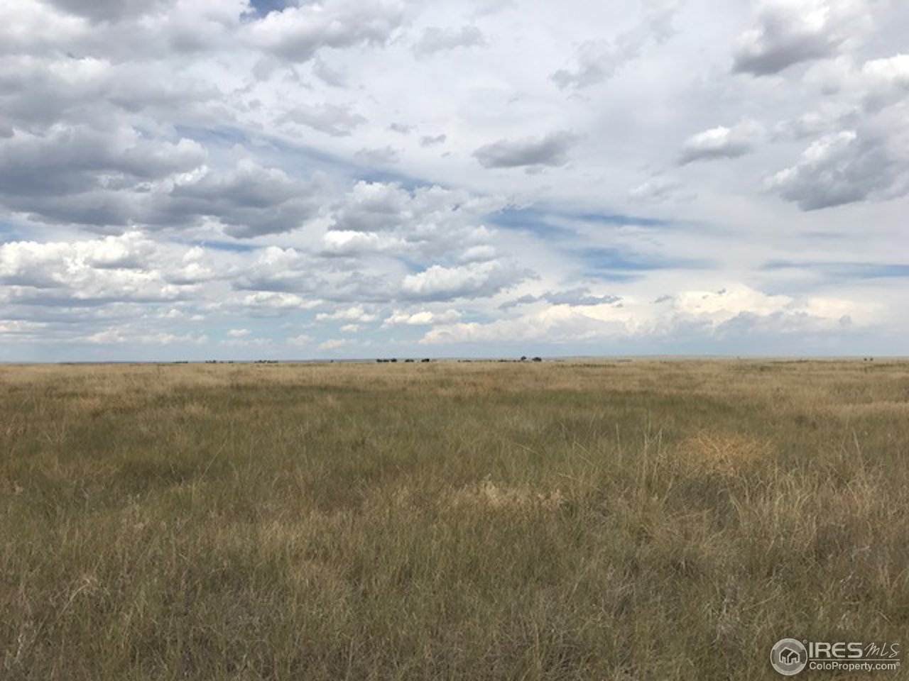 96 County Road Pierce, CO 80650 - Photo 6 of 14 Gallery Image 6