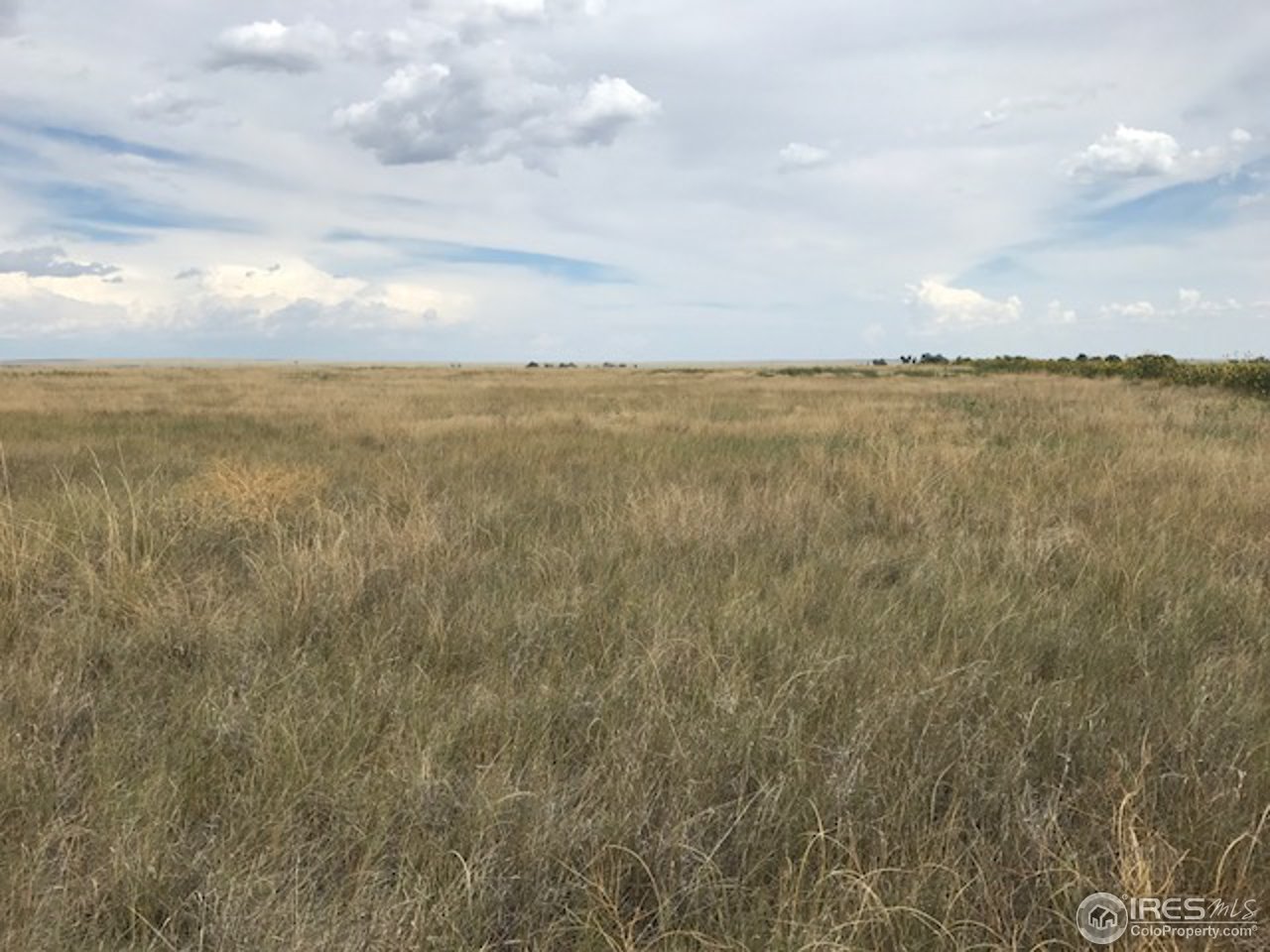 96 County Road Pierce, CO 80650 - Photo 7 of 14 Facing east