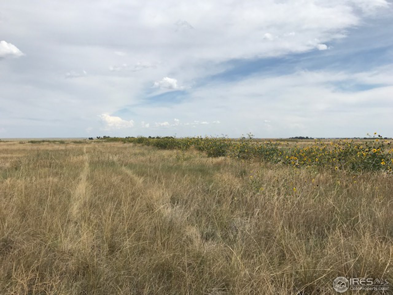 96 County Road Pierce, CO 80650 - Photo 8 of 14 Looking out east