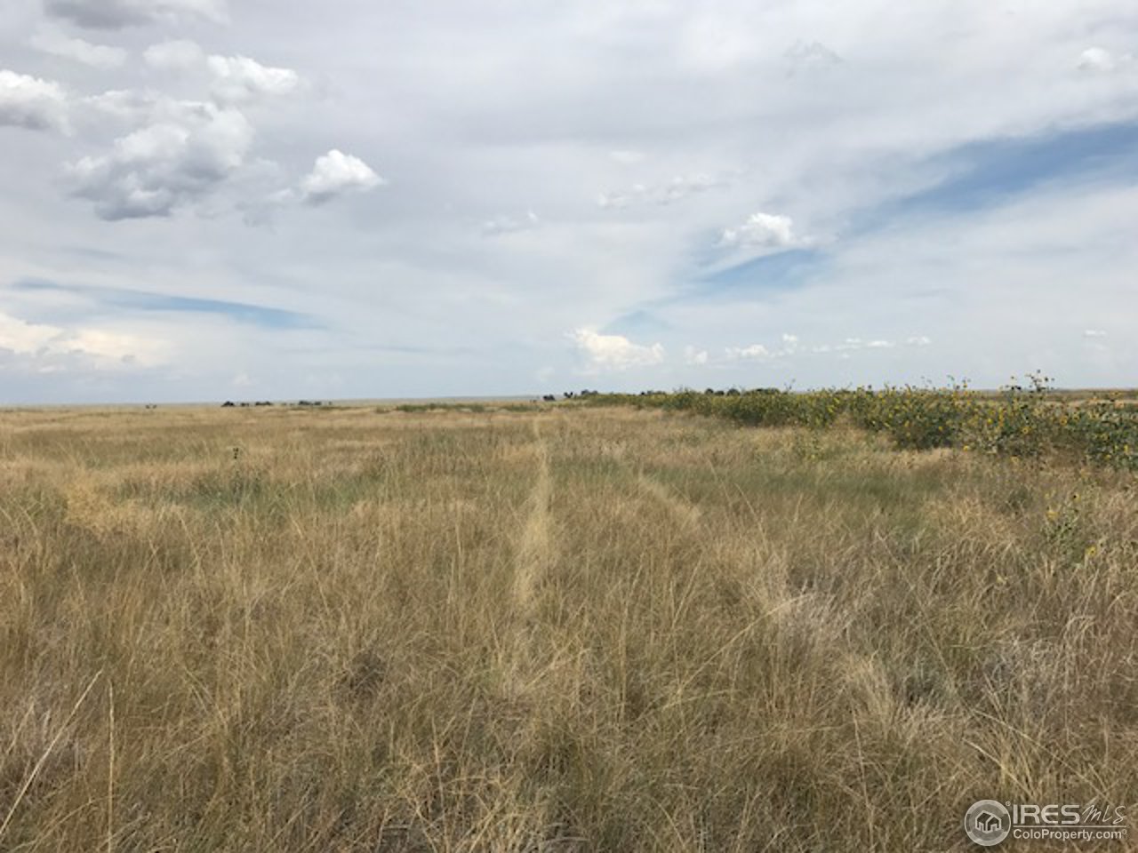 96 County Road Pierce, CO 80650 - Photo 9 of 14 Gallery Image 9