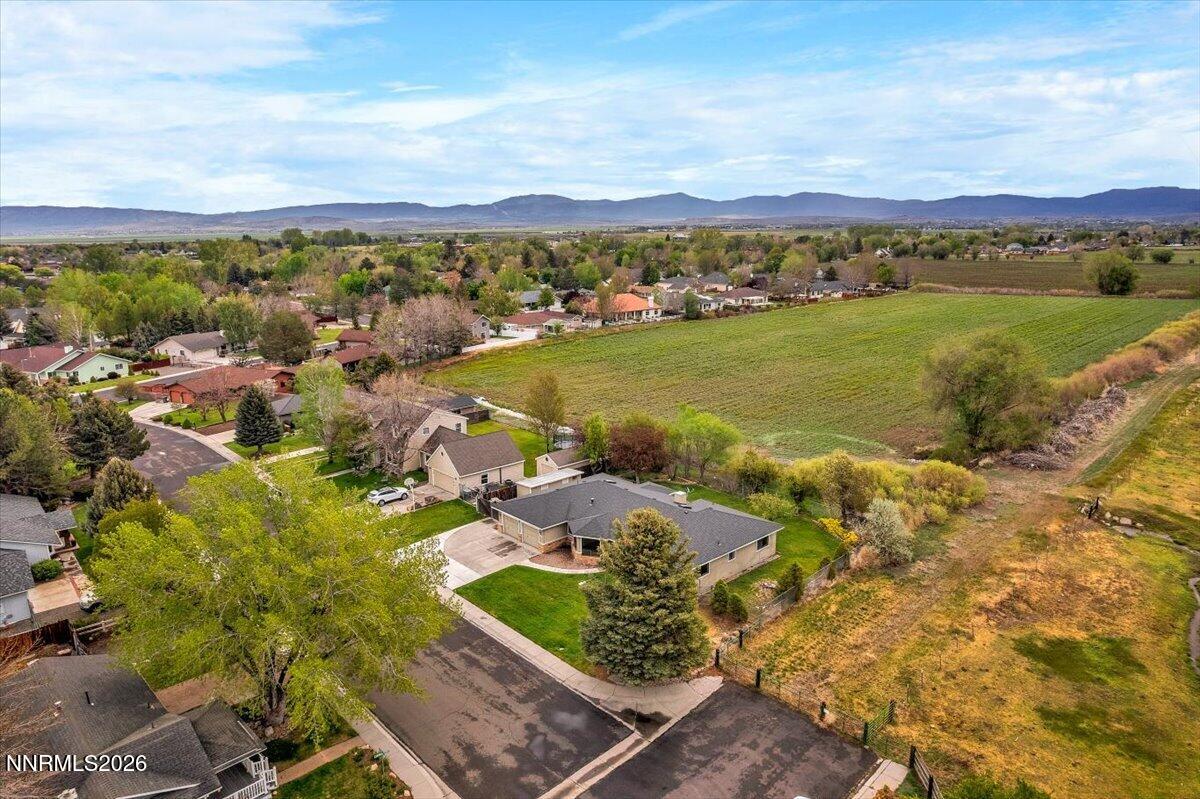 1607 Olua Street Minden, NV 89423 - Photo 5 of 75 03-DJI_0402