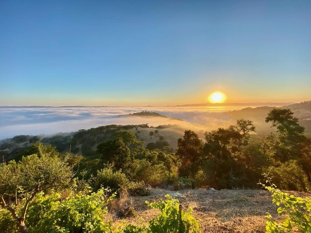 440 Hillside Road San Juan Bautista, CA 95045 - Photo 4 of 16