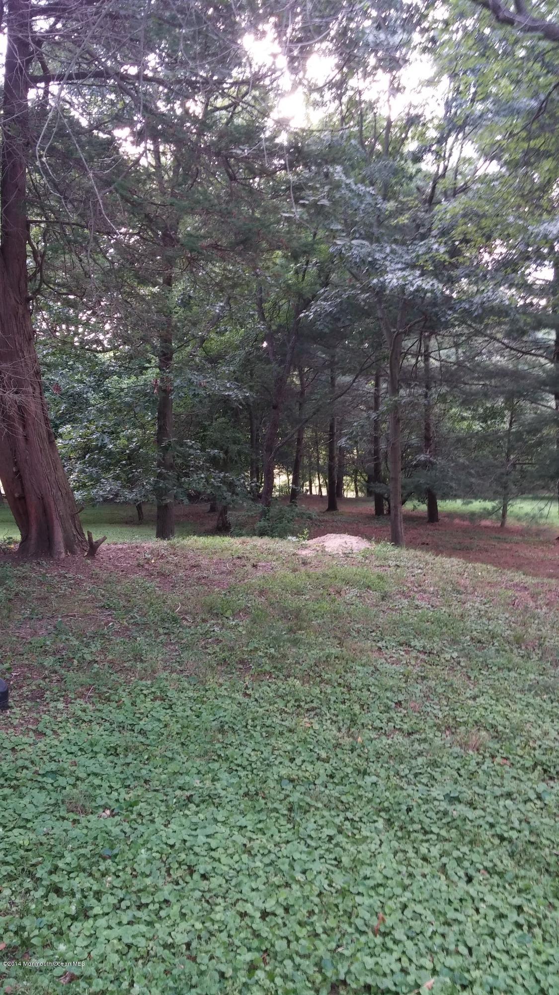 1309 Gully Road Neptune, NJ 07753 - Photo 18 of 24 GullyRearNew2