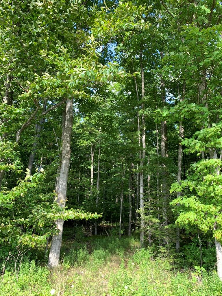 Tbd Lost Lake Road Egg Harbor, WI 54209 - Photo 12 of 29