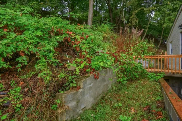 a backyard of a house with lots of green space