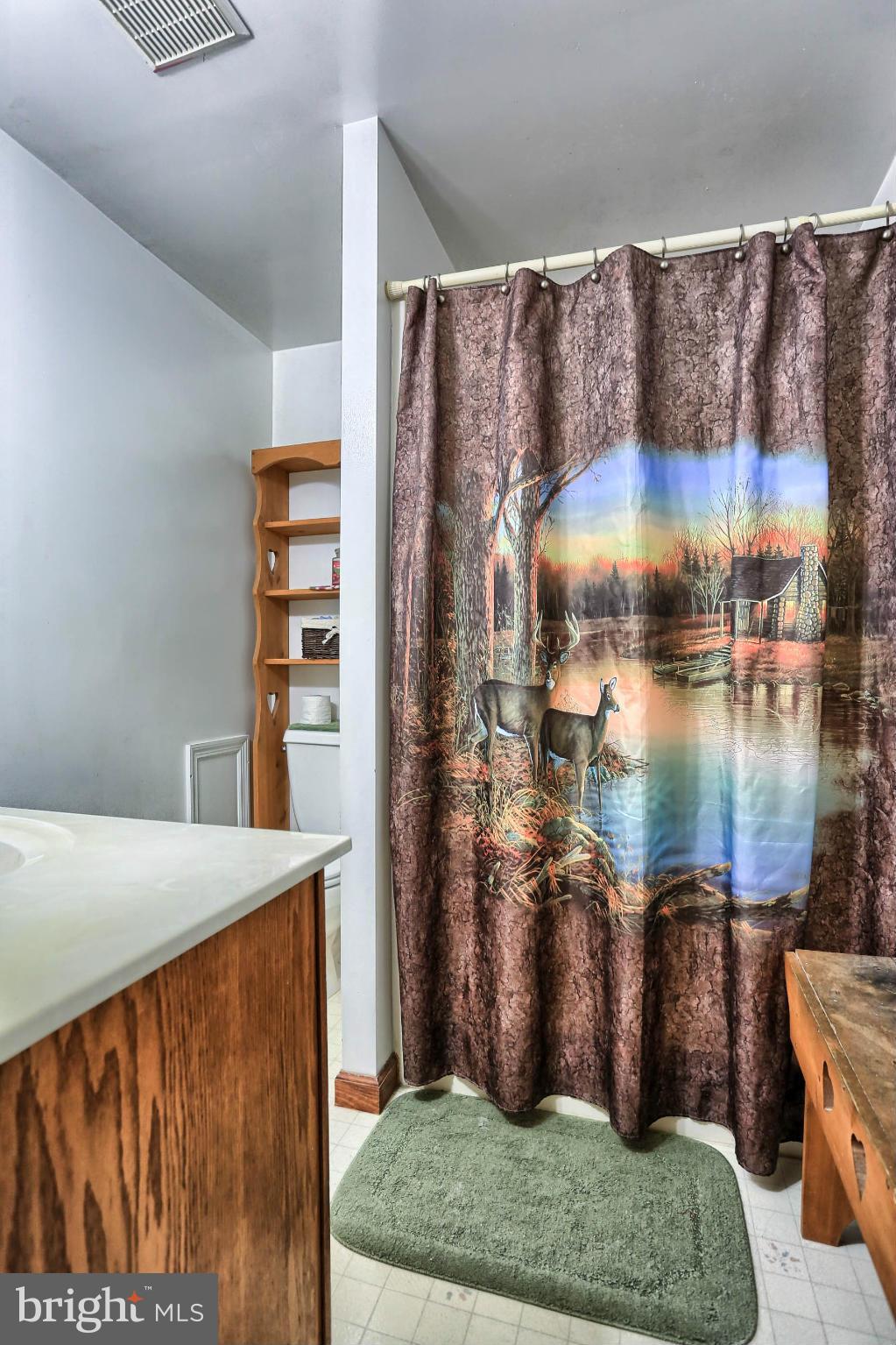 263 Neil Road Shippensburg, PA 17257 - Photo 15 of 30 Bath (Master)